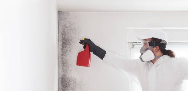 Best Crawl Space Mold Removal  in Box Elder, SD